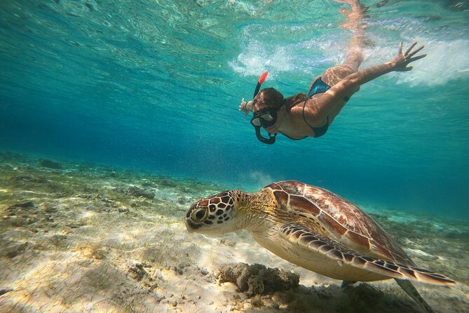 Sunset Snorkeling With Picture & Video in Gili Meno Turtle - Frequently Asked Questions