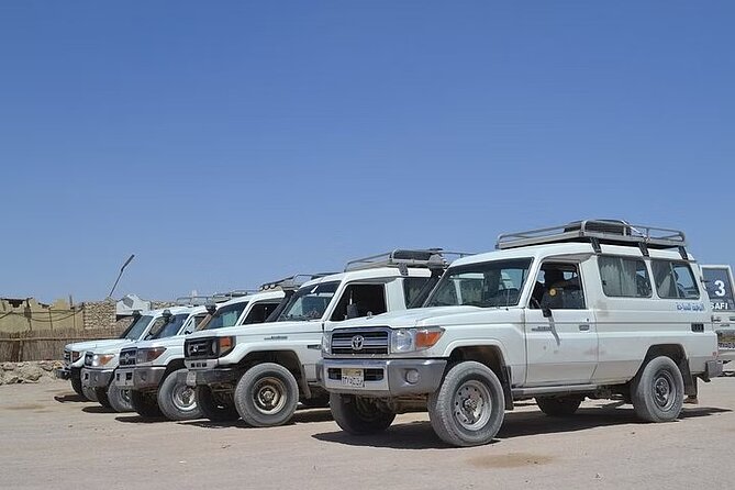 Super Safari Quad Jeep Camel Ride BBQ Dinner From Marsa Alam - Pricing and Lowest Price Guarantee