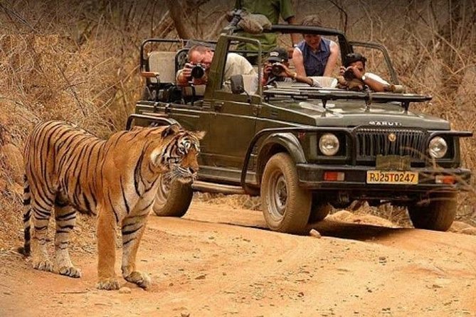 Taj Mahal With Ranthambore Jungle Safari - Itinerary Overview