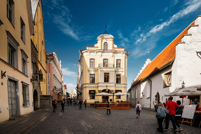 Tallinn Private Panoramic Tour - Tour Highlights and Operator Information