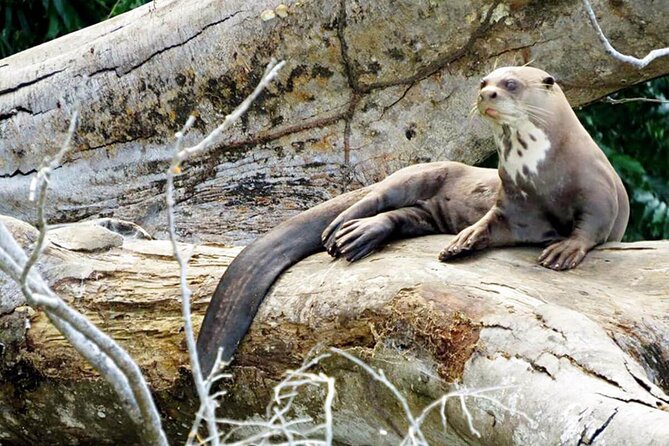 Tambopata Reserve Excursion 3D - 2N From Cusco - Important Reminders