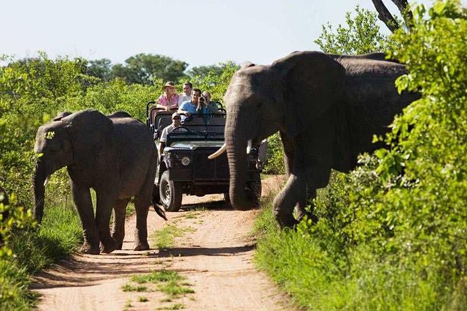 Tanzania Safari - 7 Days Cultural Safari. - Day 5: Into the Serengeti