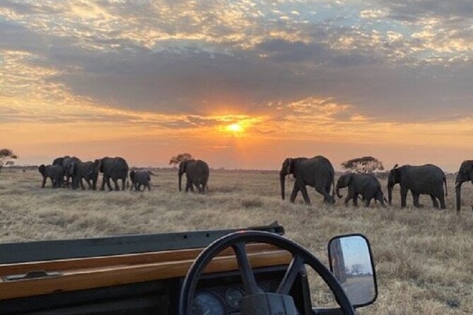 Tanzania Serengeti & Zanzibar 9 Days Holiday - Important Notes