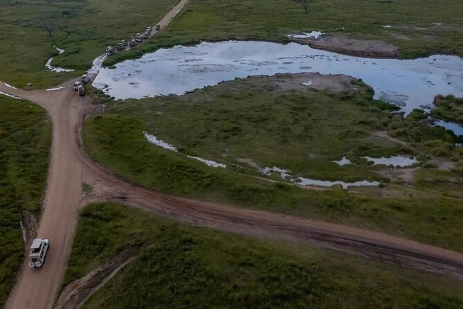 Tarangire National Park From Arusha Town Shared Day Tour - Cancellation Policy and Refunds