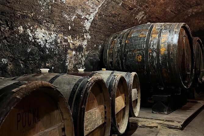 Taste and Tour Small Organic Wineries With a Winemaker - Insider Tips for Wine Tasting