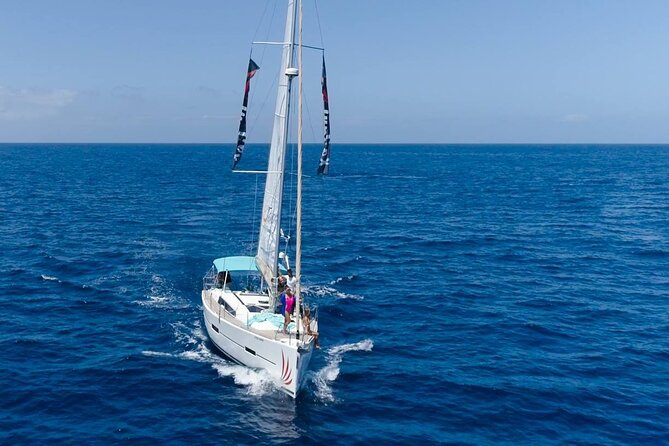 Tenerife Whale Watching and Snorkeling Private Yacht Trip - Additional Trip Details