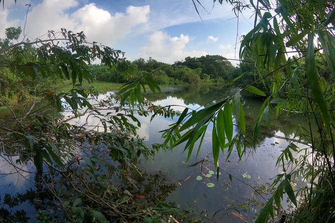 Thalangama Wetland Cycling Tour From Colombo - Cancellation Policy