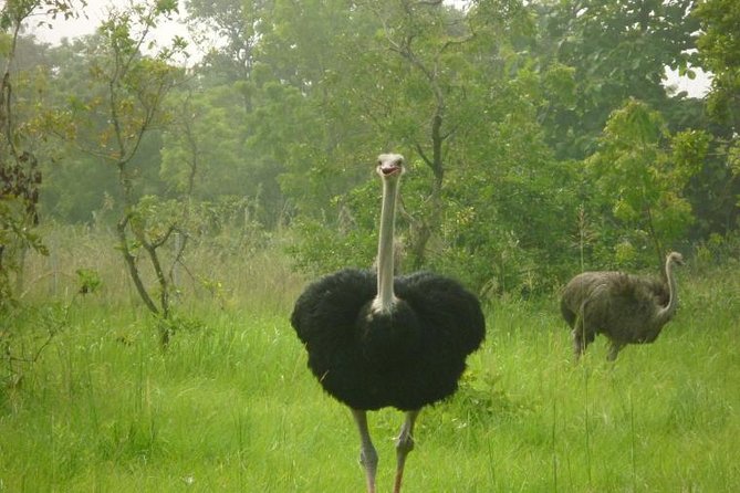 The Accra Safari Experience - Safari Packing List