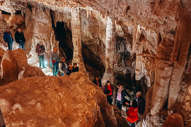 The Don Juan Caves and Júcar River Cruise From Valencia - Operator Information and Recommendations