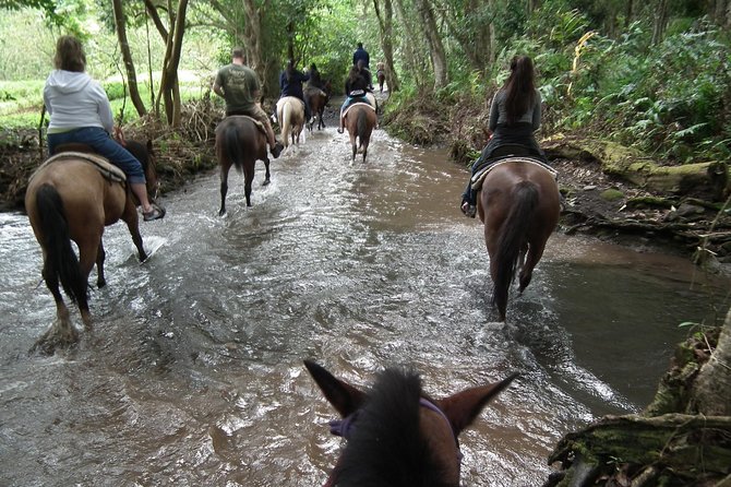 The Norcineria Art Cooking Lab With Lunch & Horseback Ride - Booking and Confirmation Process