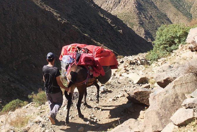 Three Days Valley Trekking in High Atlas Mount - Day 3: Return to Marrakech