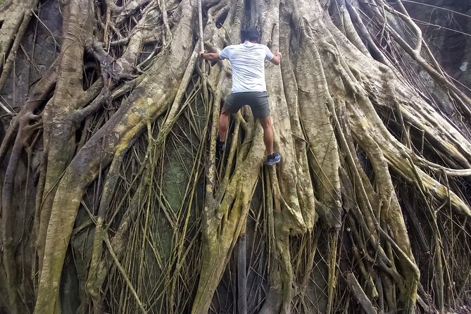 Tien Son Dinh 1 Day Trekking Tour Phu Quoc - Additional Charges