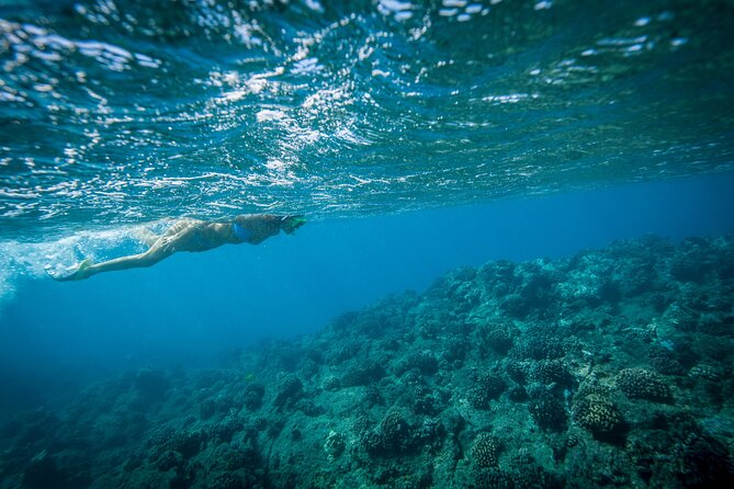 Tip of Borneo Kudat 3 Days Night Private Tour - Pricing Information