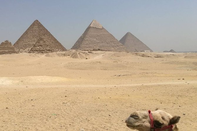 Tour 4 Days - 3 Nights Cairo and Luxor In 4/5 Stars Hotels - General Information and Meeting Point