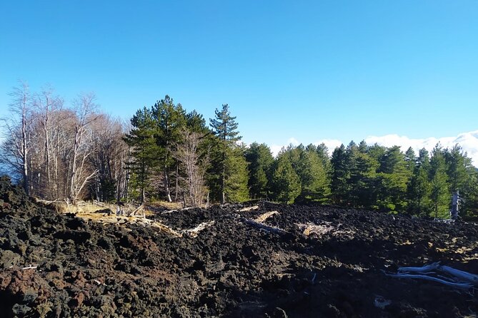 Tour of Etna on Foot, Food and Wine Tasting in the Etna Winery - Additional Safety Information