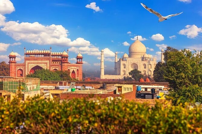 Tour & Sightseeing in Agra(Village Walk Tour) With Lunch From Delhi - Cancellation Policy