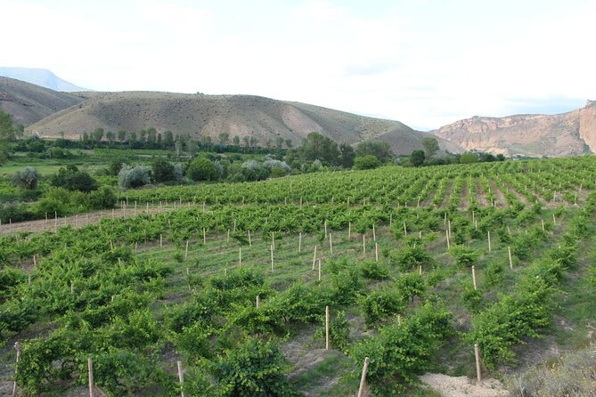 Tour to Vayots Dzor Noravank Khor Virap Areni Wine Learn a Craft Armenia Hiking - Additional Tips and Suggestions
