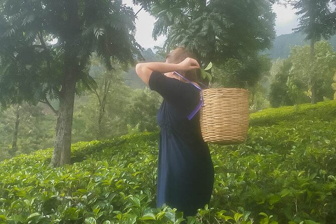 Transfer Between Colombo Airport (Cmb) and Hotel Topaz, Kandy - Additional Information