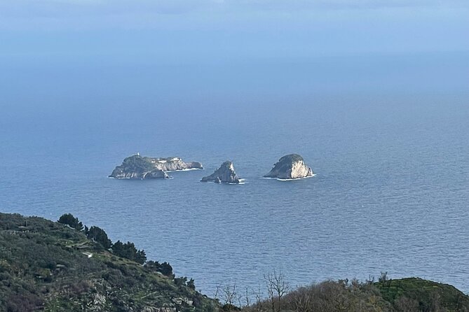 Transfer From Rome To Amalfi Coast Via Pompei - Frequently Asked Questions