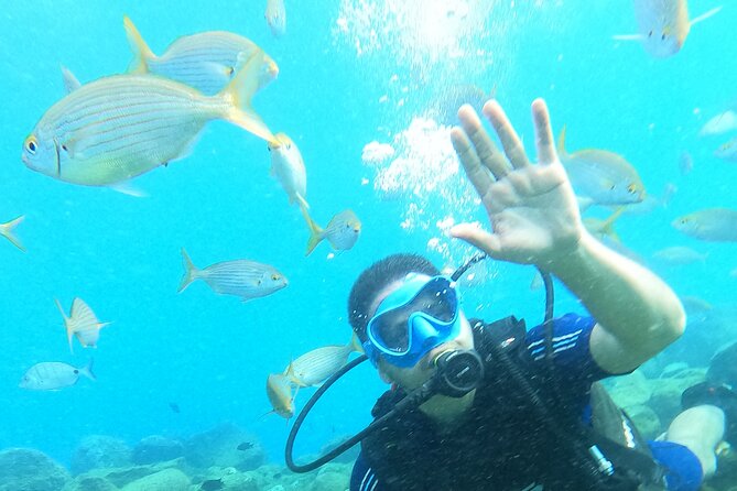 Try Scuba Diving Puerto Colon - Directions and Accessibility
