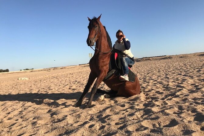 Two Hours Horse Riding With Transfer From Hurghada All Fees Paid - Additional Information