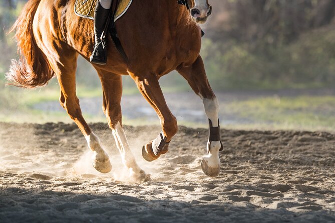 Two Hours Horse Riding With Transportation Hurghada