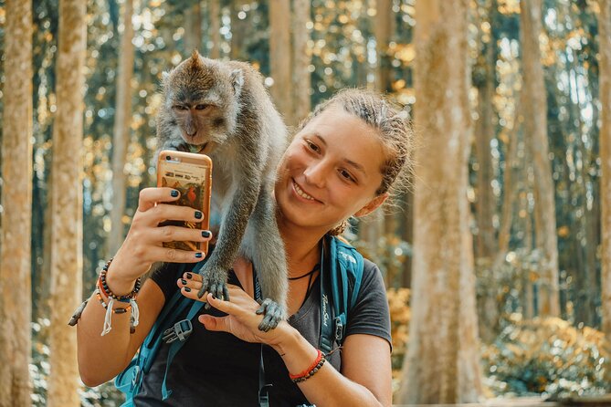 Ubud - Best Central One Day Tour - Additional Information