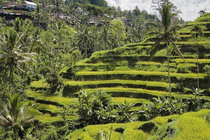 Ubud Higlights Monkey Forest Rice Terrace and Temple Tour - Inclusions