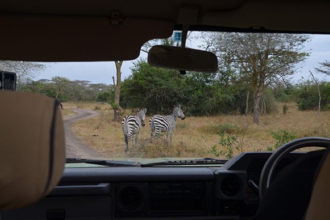Uganda: 10-DAY Mid-Range Wildlife, Big-Five, Gorilla Safari - Gorilla Trekking Experience