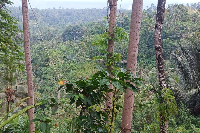 Ultimate Private 2 Days 1 Night North East Bali - Meal Options