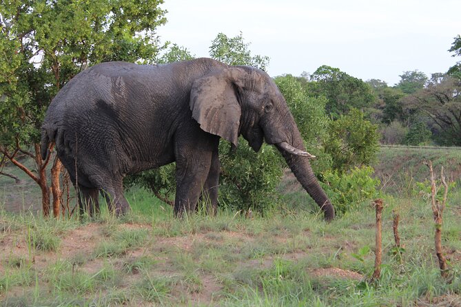 Ultimate Uganda Luxury Safari - 14 Days - Cultural Immersion