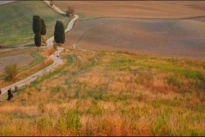 Under the Tuscan Sun - Montepulciano and Pienza Tour From Rome - Tour Schedule