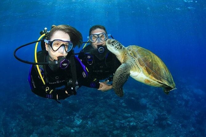 Underwater Wonders in Hurghada With Scuba Diving - Participant Requirements and Guidelines