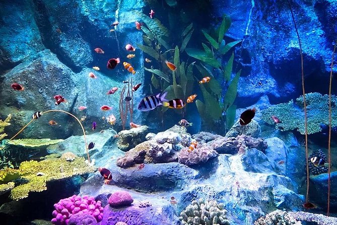 Underwater World at Pattaya Admission Ticket With Return Transfer - Payment Options and Security