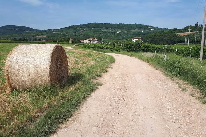 Valpolicella Bike Tour From Verona - Confirmation and Accessibility