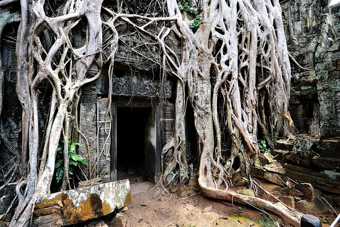 Venture Through Angkor on an E-Bike - Travel Insurance Tips