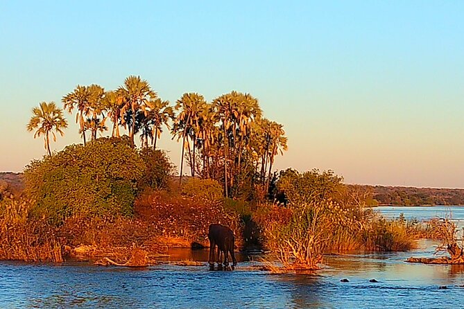 Victoria Falls: Standard Sunset Cruise on the Zambezi River - Wildlife Sightings on the Zambezi