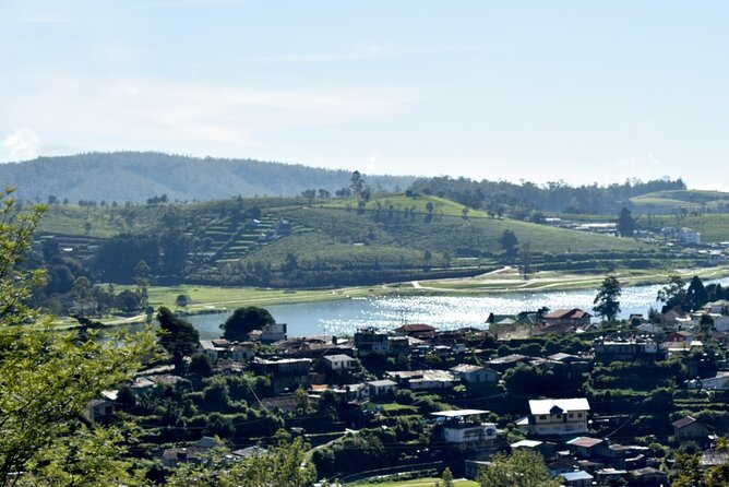 Village Tour by Classic Jeep From Habarana - Logistics and Schedule