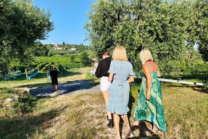 Vineyard Tour and Wine Tasting in Cavaion Veronese - Booking and Cancellation Policy