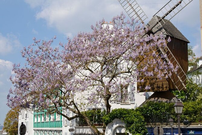 Vineyard Visit and Wine Tasting in Clos Montmartre - Accessibility Details