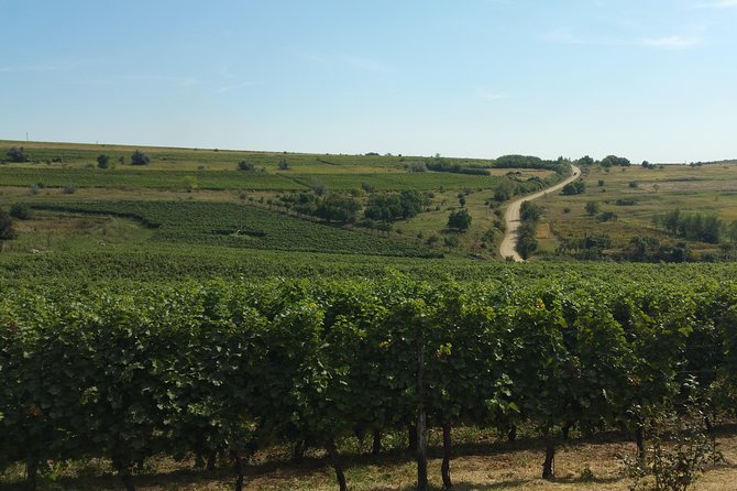 Vineyards and Wine Tasting Experience - Frequently Asked Questions