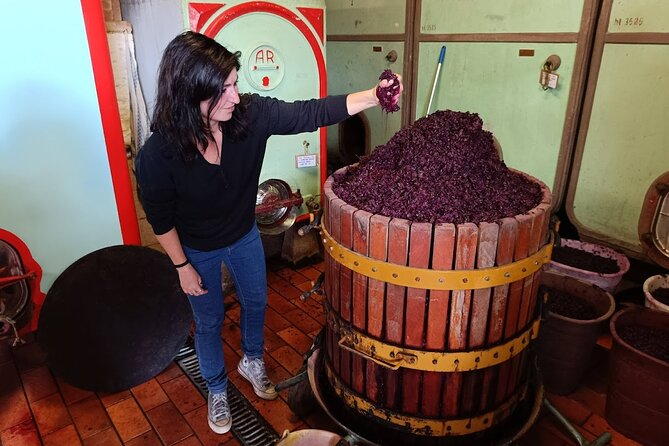 Visit Chianti - 3 Cellars, Lunch Experience & Private Wine Tour - Booking Options