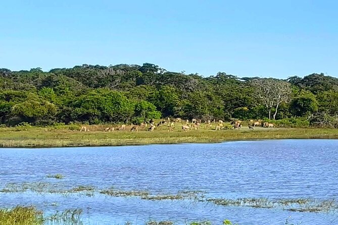 Visit Ella and Yala Safari - 02 Days, All Inclusive