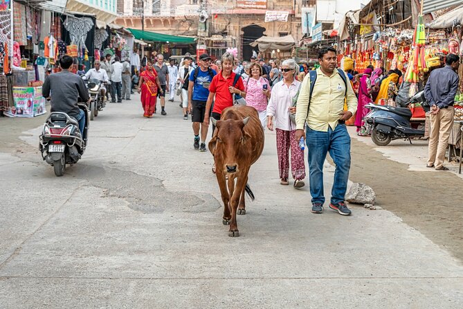 Visit Pushkar & Chittorgarh Fort From Jaipur With Udaipur Drop - Booking Costs and Guarantee
