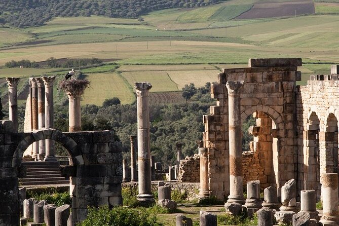 Volubilis & Meknes Day Trip From Fez - Booking & Cancellation