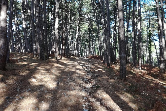 Vrmac Hiking Tour - Participant Requirements