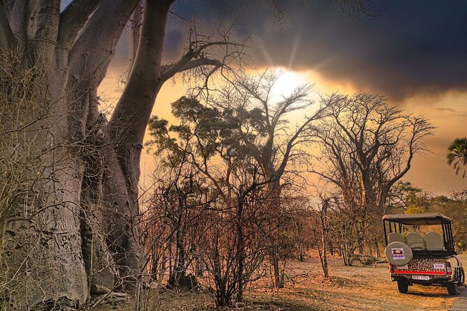 Vulture Safari Tour in Victoria Falls National Park Zimbabwe - Booking Details