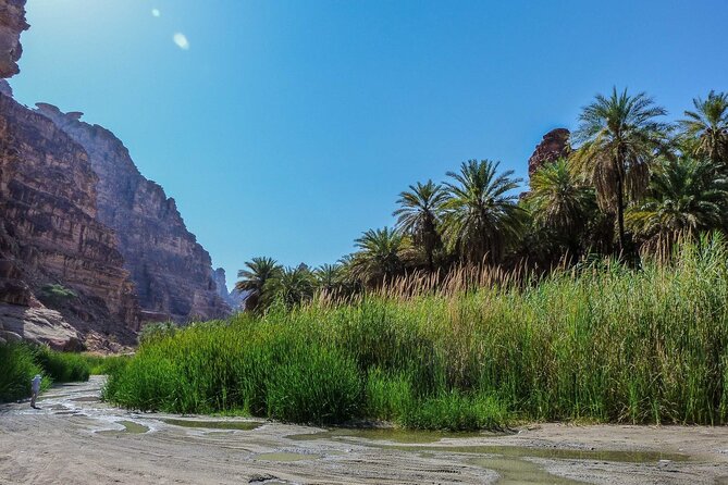 Wadi Al Disah Full Day Tour With Hotel Pickup - Pricing Information