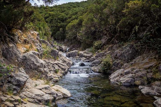 Walk - Madeira Lakes - Frequently Asked Questions