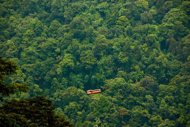 Wayanad Wildlife Heaven From Bangalore - Pricing Details and Guarantee